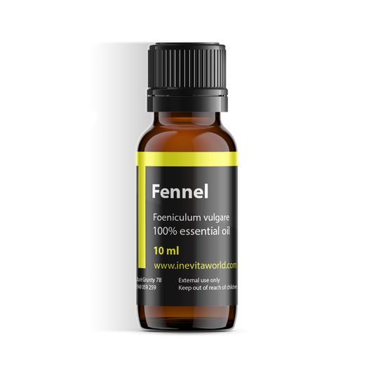 Fennel