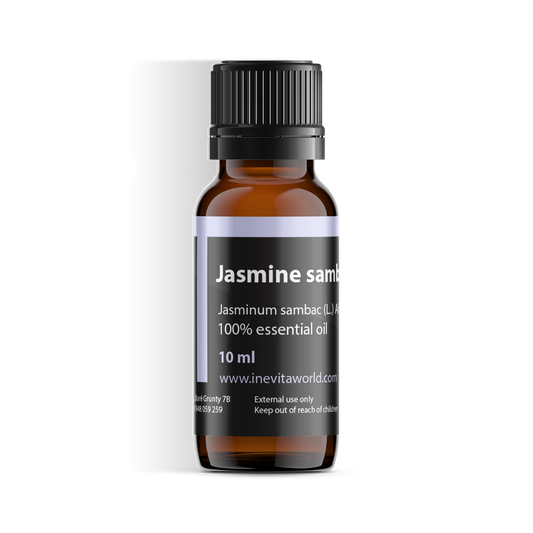 Jasmine Sambac